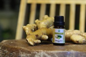 Z2336101839520 3c2320d0bc7e38157a8a2e2f3e595d80