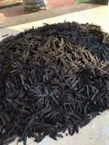 Z4849033729838 Df202bb98f78a7adf6c697ed61e14502