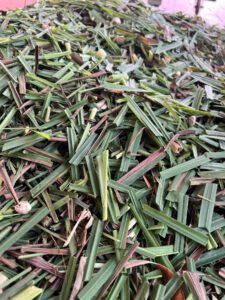 Z4849033736681 656a3b745f8a9afb622f8b66c4123338