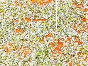 Z4849033750851 F7929dc87cb597fa2beb1862919b0150